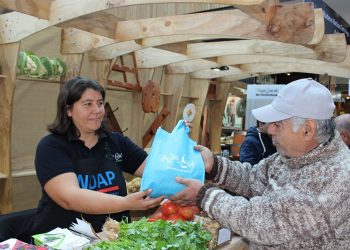 Agricultores de Indap podrán comercializar  sus productos en el Mall de Chillán