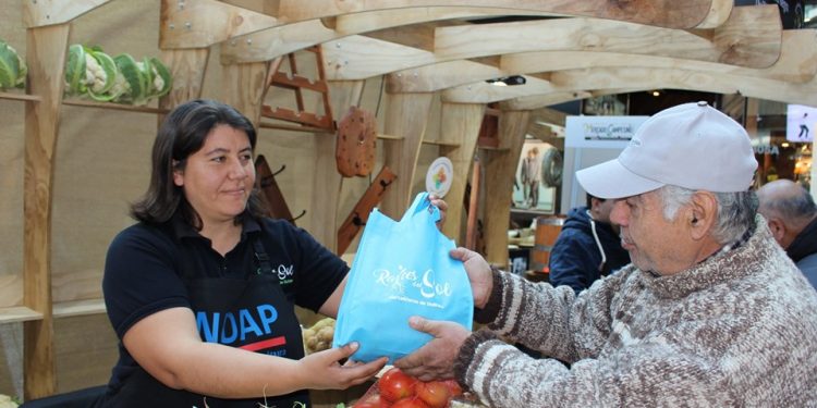 Agricultores de Indap podrán comercializar sus productos en el Mall de Chillán