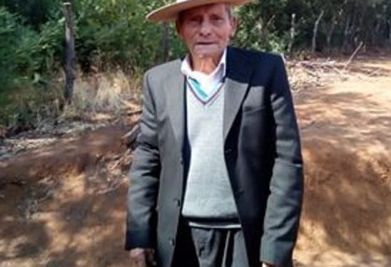 Intensifican búsqueda de anciano de 90 años perdido en Quillón