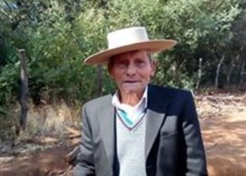 Intensifican búsqueda de anciano de 90 años perdido en Quillón