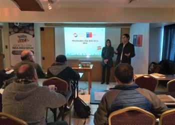Abren en Ñuble programa «Leña más seca»