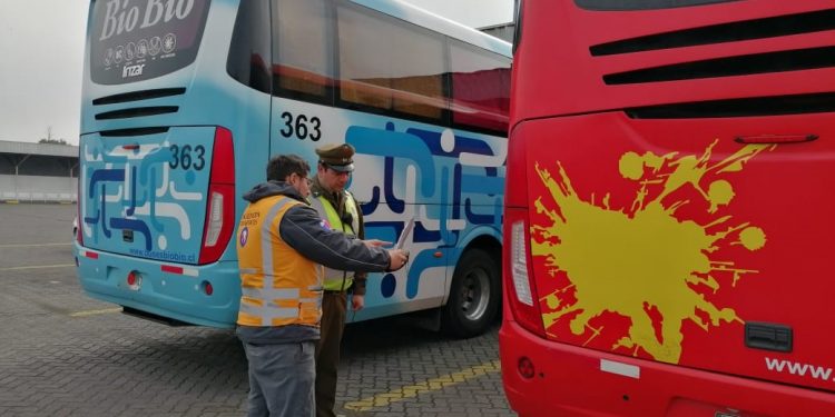 Retiran nueve buses de circulación desde terminal María Teresa por mantener documentación vencida