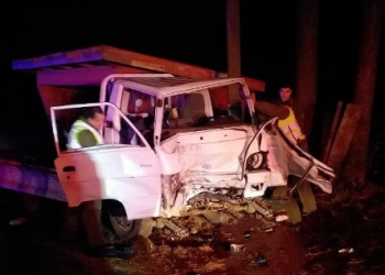 Sujeto murió tras chocar su vehículo con un árbol mientras huía de Carabineros