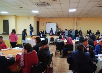 El 8 de julio continúa la primera fase de Consulta Indígena en Ñuble