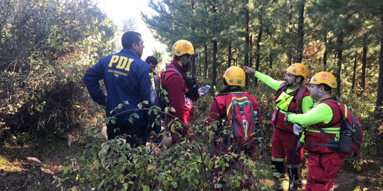 Con brigada canina prosigue búsqueda de anciana en Quirihue