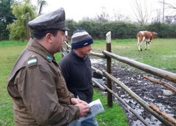 Juntas de Vigilancia Rural reciben capacitación de Carabineros para prevenir abigeato en Ñuble