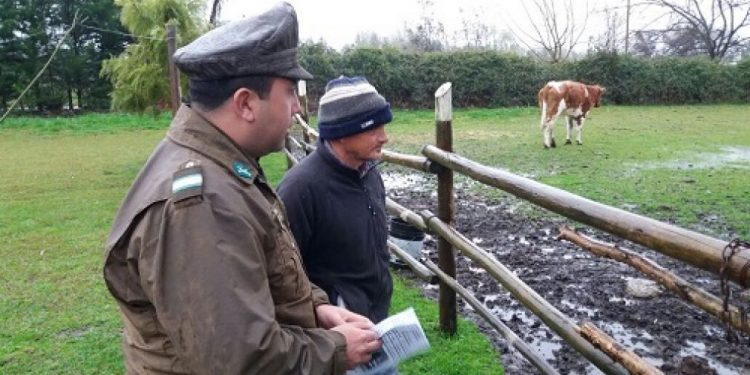 Juntas de Vigilancia Rural reciben capacitación de Carabineros para prevenir abigeato en Ñuble