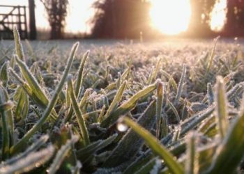 Alerta Temprana Preventiva: Heladas y lluvias en Ñuble