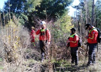 Intensifican búsqueda de anciana de 83 años en Quirihue