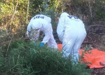 Investigan hallazgo de cadáver en canal de regadío en Tanilvoro
