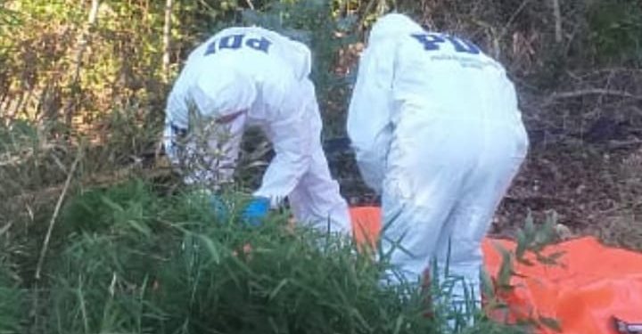 Investigan hallazgo de cadáver en canal de regadío en Tanilvoro