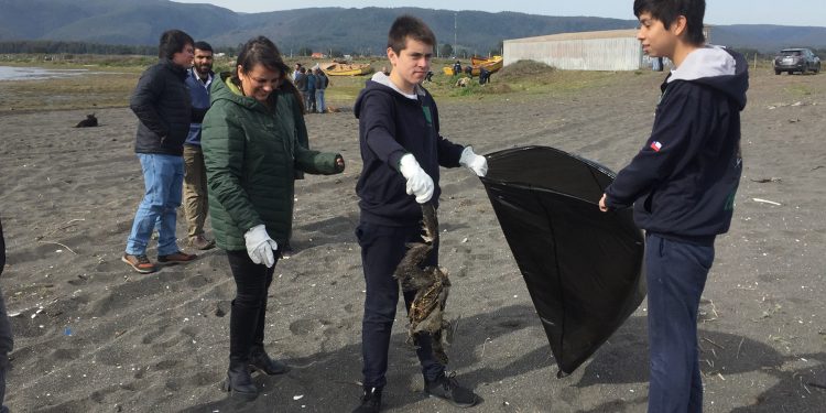 Cerca de 50 kilos de basura retiraron jóvenes en la desembocadura del Río Itata