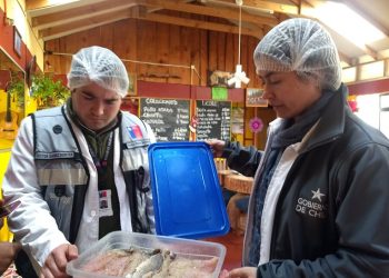 Quillón: Inician sumarios a restaurantes por anomalías sanitarias y de higiene