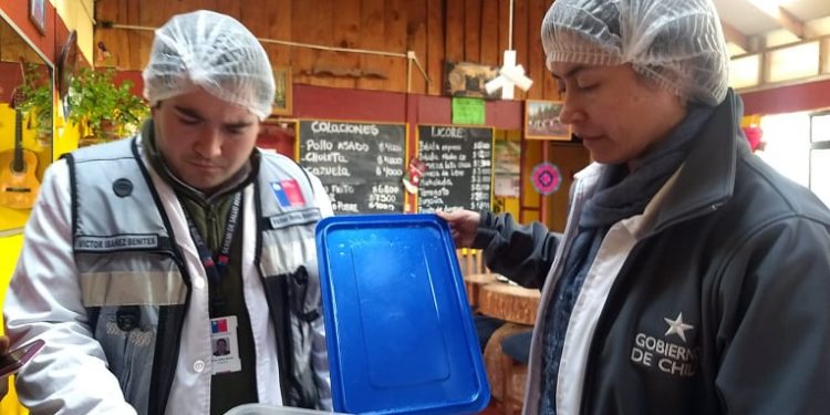 Quillón: Inician sumarios a restaurantes por anomalías sanitarias y de higiene
