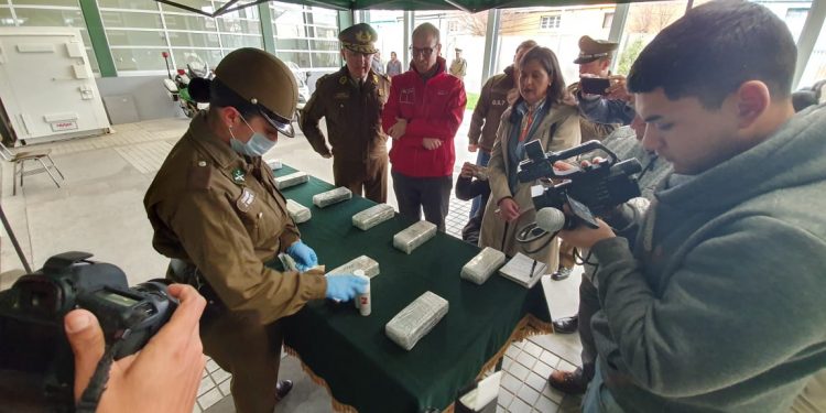 Sujeto queda preso por tráfico de 11 kilos de marihuana en Chillán