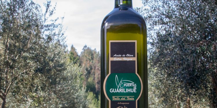 Coelemu: Aceite de oliva “Puertas de Guarilihue” logra destacados premios en Italia