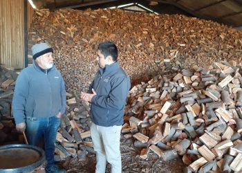 60 emprendedores de Ñuble se capacitarán para vender «Leña Más Seca»