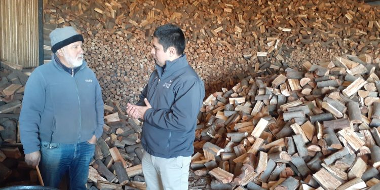 60 emprendedores de Ñuble se capacitarán para vender «Leña Más Seca»