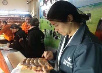 Con tres sumarios partió fiscalización de Fiestas Patrias en Chillán