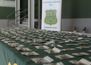 Desbaratan clan familiar que comercializaba drogas en Chillán