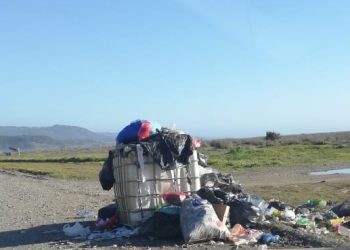 Lamentan actitud de turistas que colapsan basureros en playas de Cobquecura