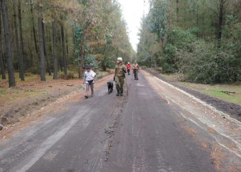 Con perros policiales buscan a vecino perdido en sector de Pemuco