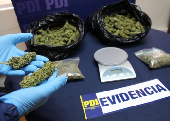 Detienen a sujeto que traficaba cannabis en el centro de Chillán