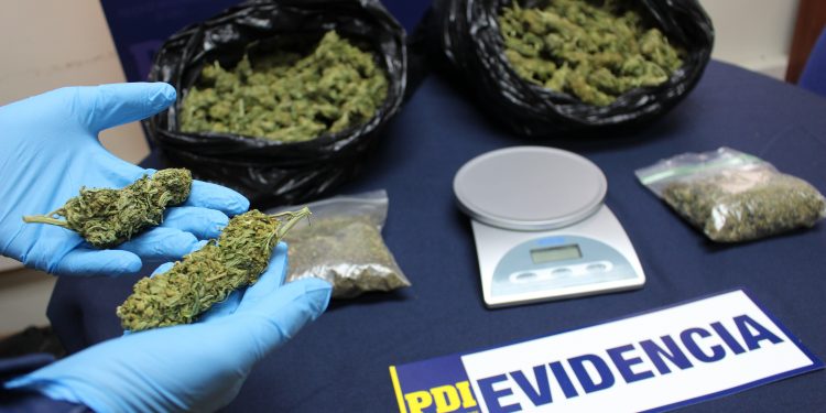 Detienen a sujeto que traficaba cannabis en el centro de Chillán