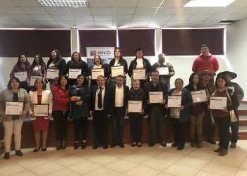Pequeños productores vitivinícolas de Ninhue fueron beneficiados con el programa Becas Laborales