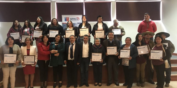 Pequeños productores vitivinícolas de Ninhue fueron beneficiados con el programa Becas Laborales