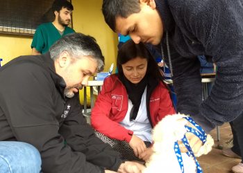 Realizan vacunación antirrábica en Lomas de Oriente