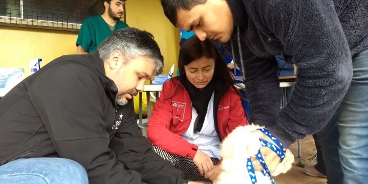 Realizan vacunación antirrábica en Lomas de Oriente