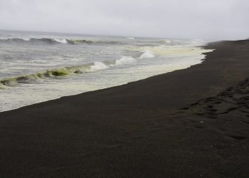 Cobquecura: Fenómeno natural de “floración” tornó verdosas las aguas del mar