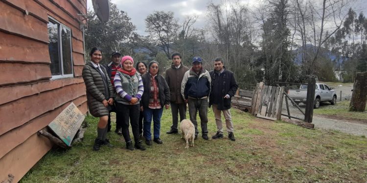 Estudiantes chillanvejanos representarán a Chile en feria internacional de ciencias en Brasil