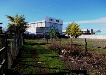 Indagan 19 casos de gastroenteritis en empresa Alifrut camino a Coihueco