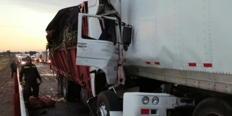 Dos muertos deja choque de camiones en Ñuble