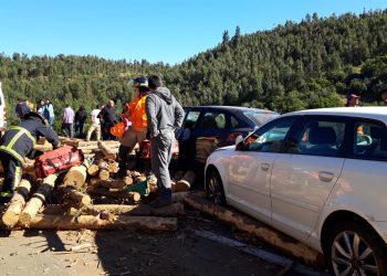 Formalizan por homicidio a chofer de camión que causó fatal accidente en Quirihue