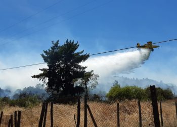 Decretan Alerta Roja por incendio forestal en Quinchamalí