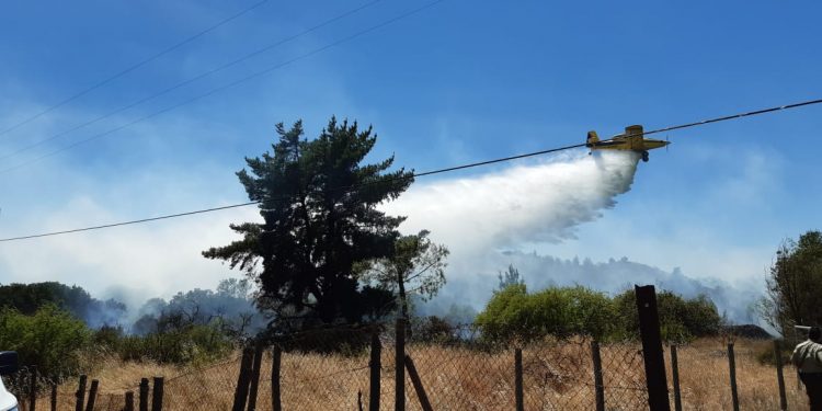 Decretan Alerta Roja por incendio forestal en Quinchamalí