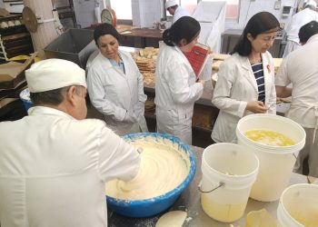 Un sumario sanitario en inicio de fiscalizaciones a panaderías y pastelerías en Ñuble