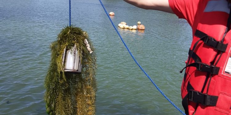 Toman muestras de agua en Laguna Avendaño para descartar contaminación