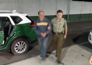 Quillón: Detienen a conductor de camión sin licencia que intentó evadir control policial