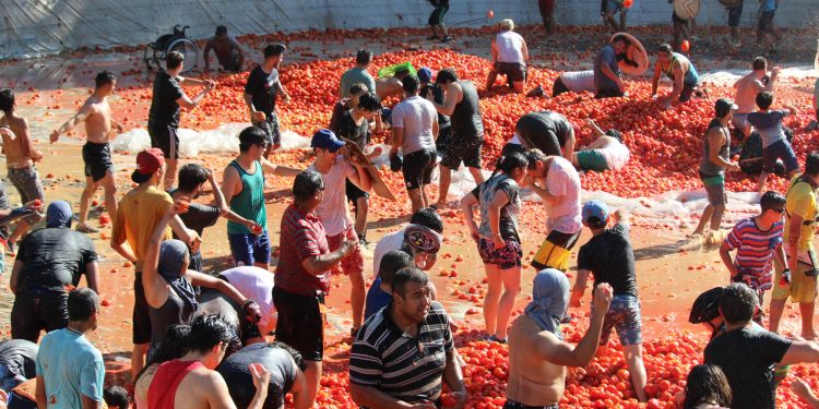 Más de 4 mil personas batallaron en la «Guerra del Tomate» en Quillón