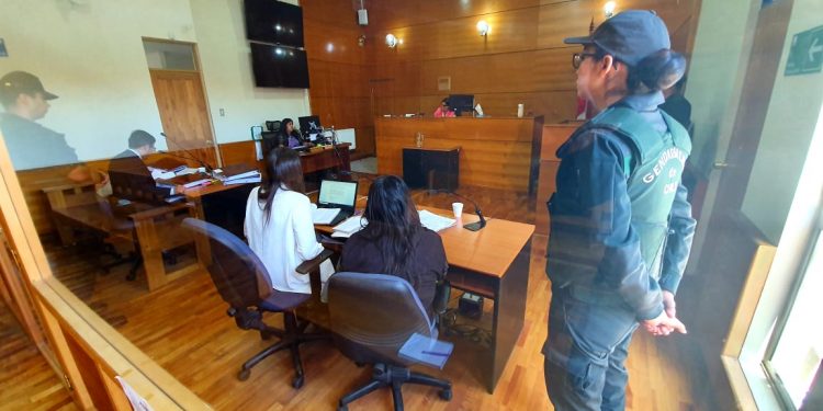 Mujer fue formalizada por homicidio de abuelo que estuvo casi 2 meses desaparecido en Pemuco