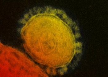 Ñuble es la segunda región con más casos confirmados de Coronavirus del país