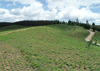 Abren convocatoria para programas de inversión productiva en Ñuble