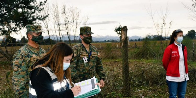 Más de 460 fiscalizaciones realizó Salud el fin de semana largo en Ñuble