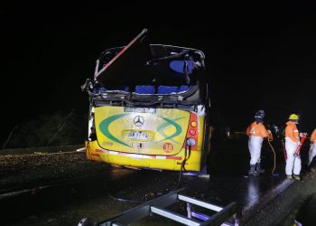 Identifican a cuatro víctimas de accidente en ruta Chillán-Yungay