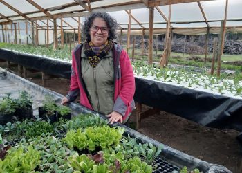 Pequeños agricultores cuentan cómo han adaptado con éxito sus negocios ante la pandemia