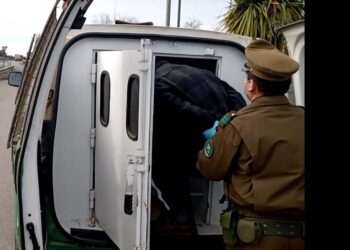 Cae sujeto que tiene 15 detenciones por robo y hurto en San Carlos